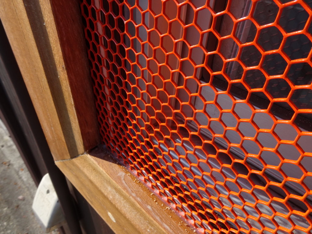 ハチの巣風窓